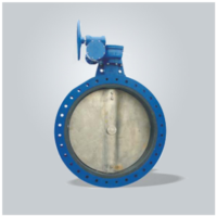 Lining Butterfly Valve